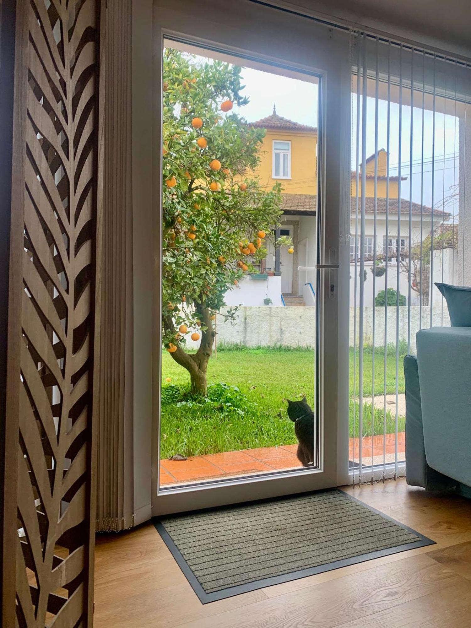 Casa Do Paco Aveiro Studio&Rooms Exterior photo